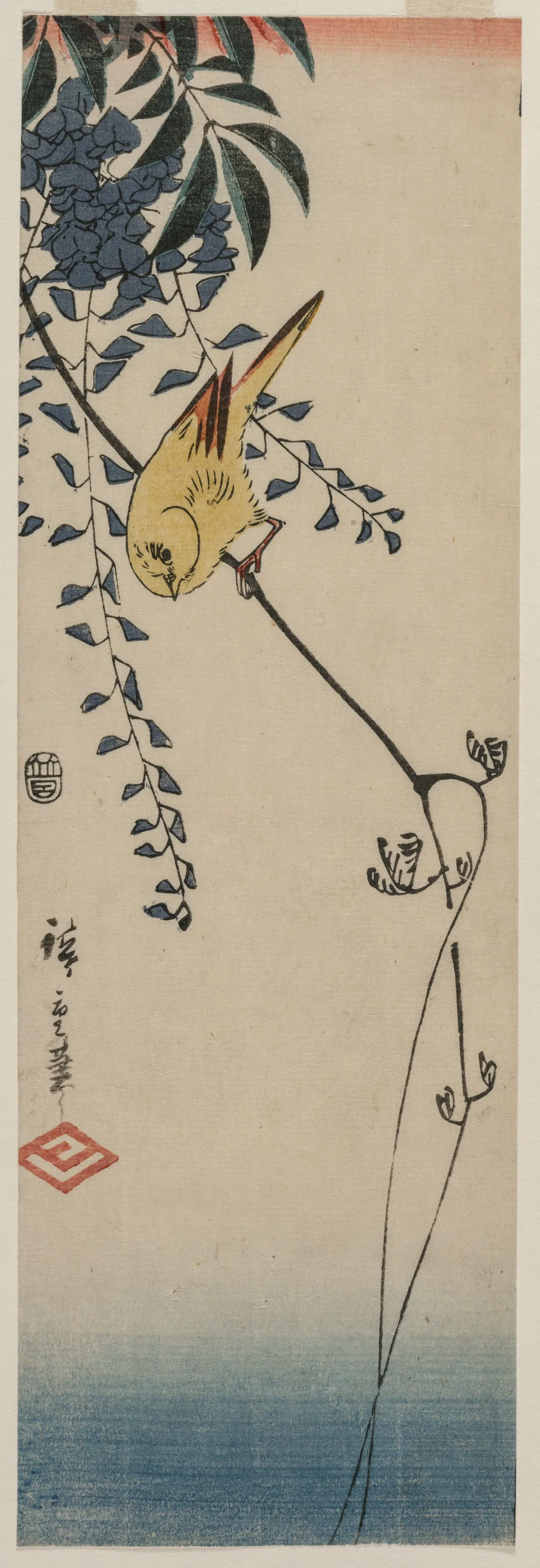 Canary and Wisteria, 1840