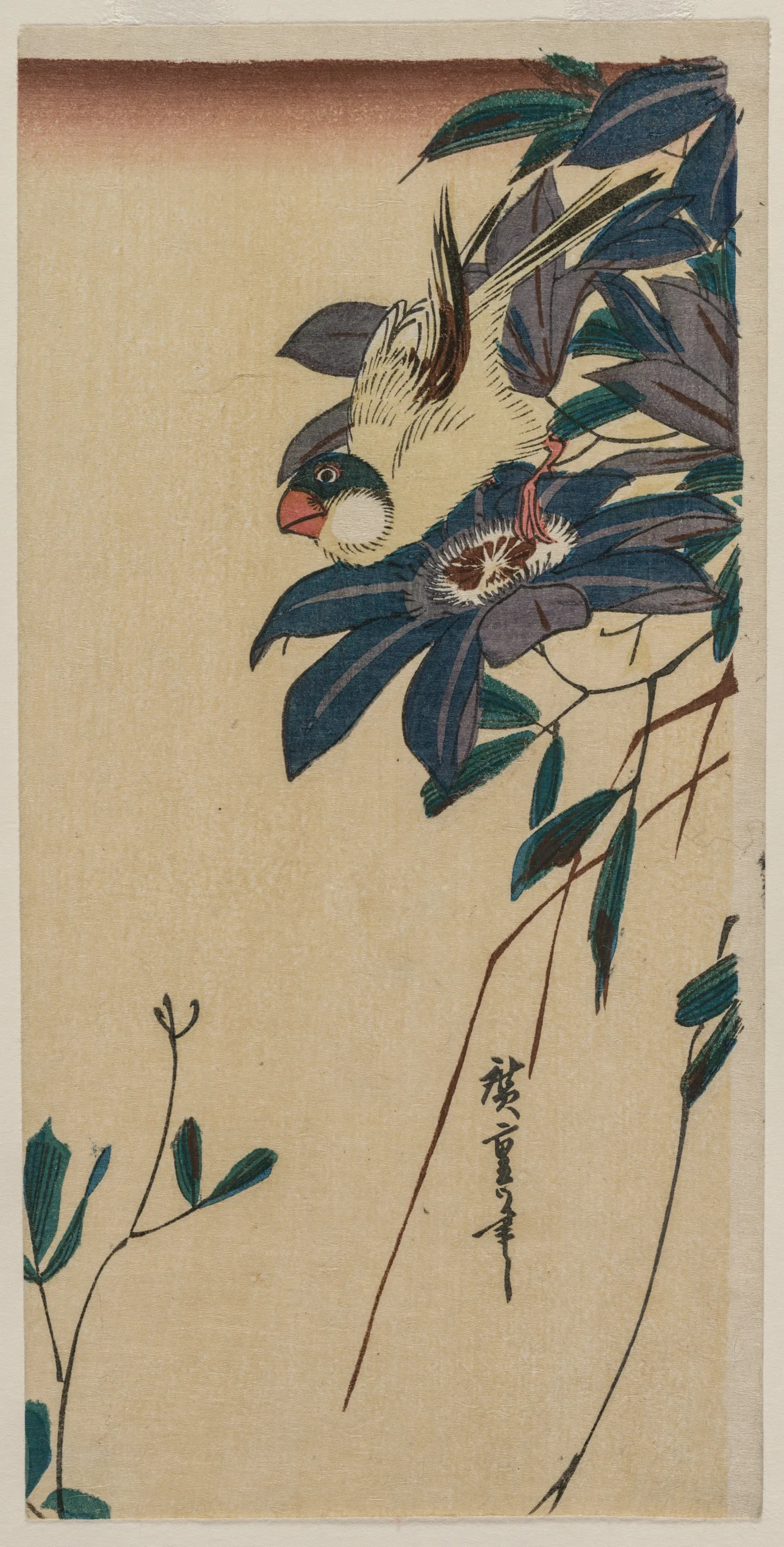 Grosbeak and Clematis, 1830