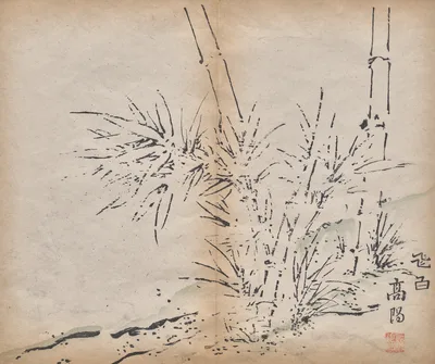 Bamboo, 1625