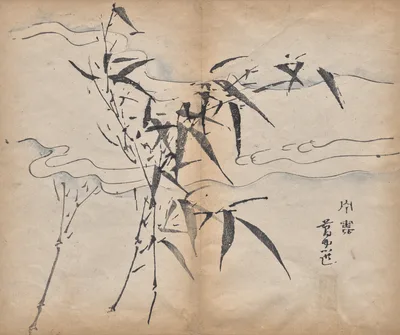 Bamboo, 1625