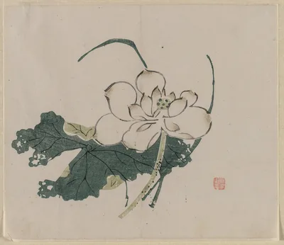 Lotus Blossom, 1368