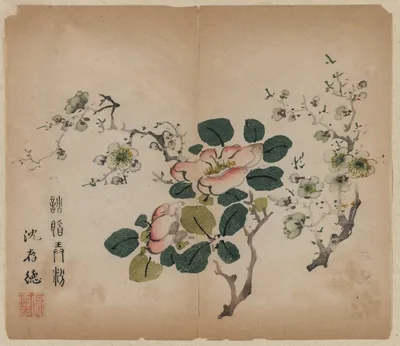 Flowering Prunus, 1368