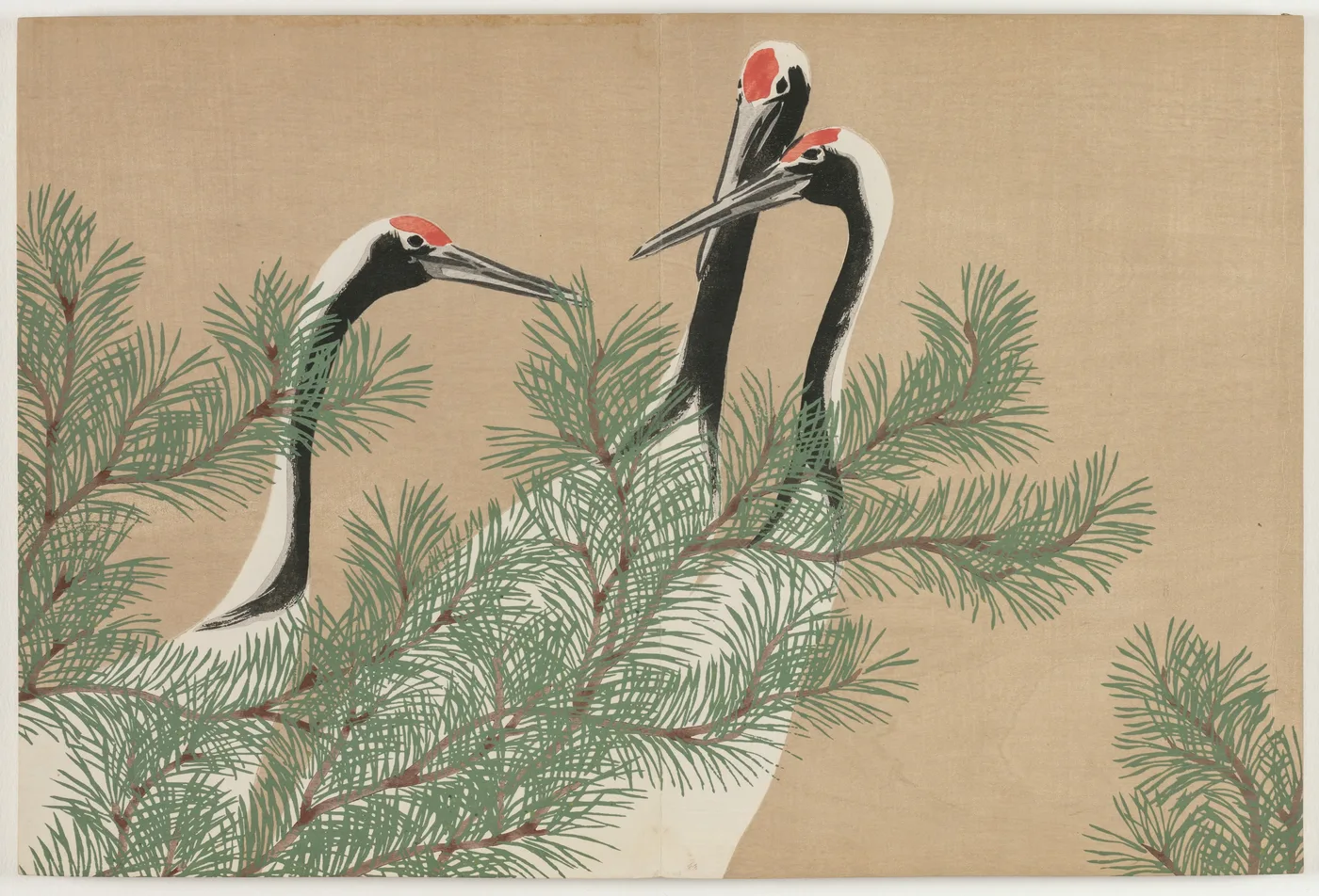 Flowers of a Hundred Worlds (Momoyogusa): Cranes (Tsuru), 1909