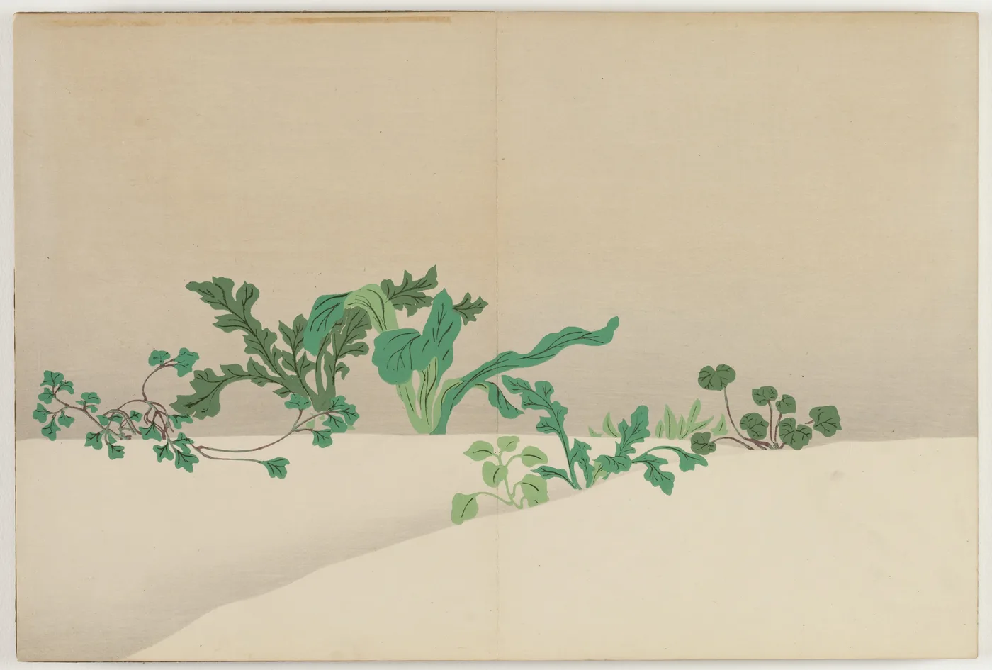 Flowers of a Hundred Worlds (Momoyogusa): Seven Herbs of Early Spring…, 1909