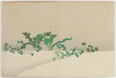 Flowers of a Hundred Worlds (Momoyogusa): Seven Herbs of Early Spring…, 1909