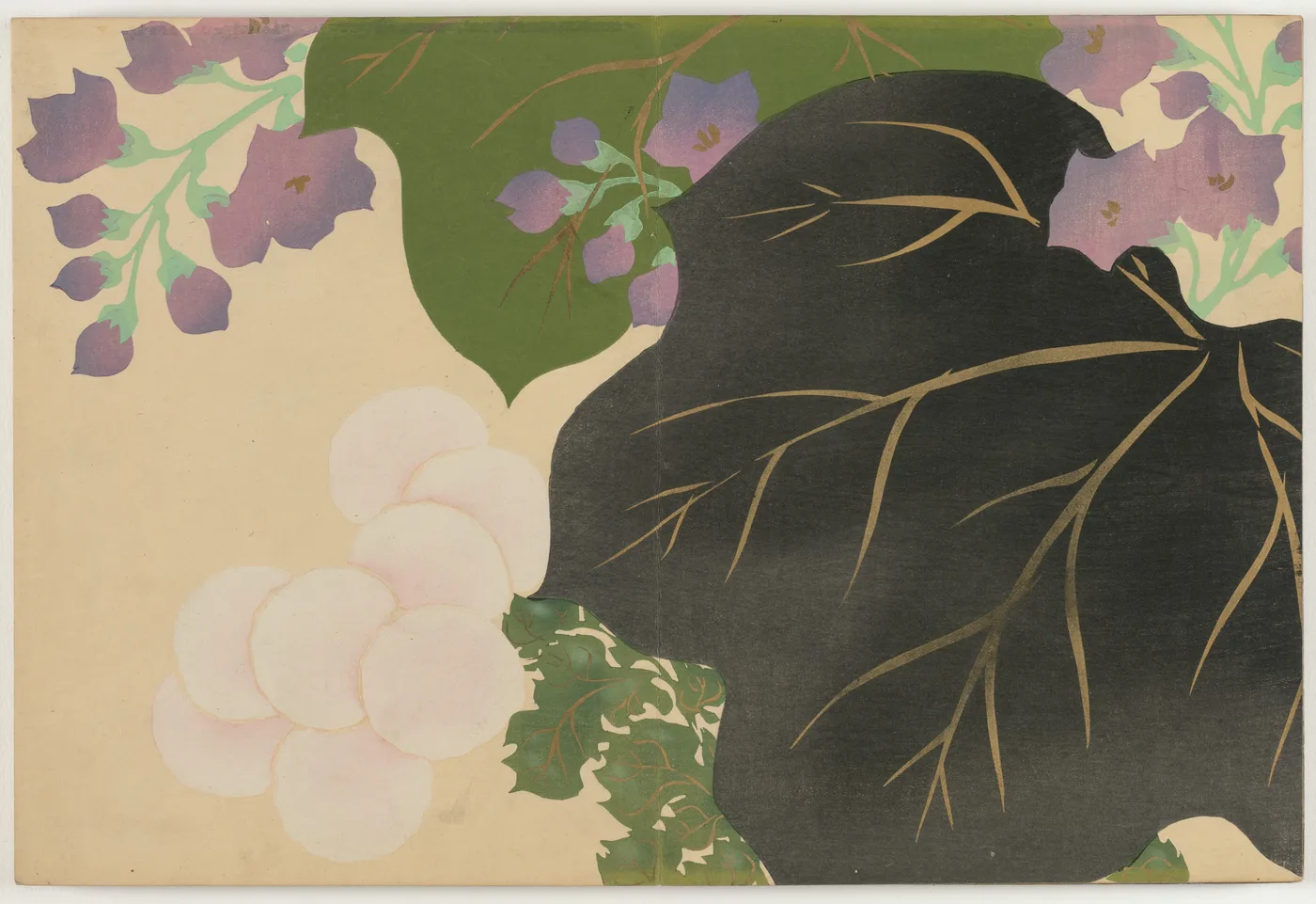 Flowers of a Hundred Worlds (Momoyogusa): Chrysanthemum and Paulownia…, 1909