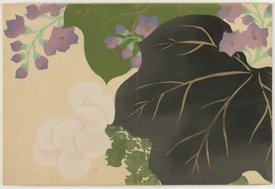 Flowers of a Hundred Worlds (Momoyogusa): Chrysanthemum and Paulownia…, 1909