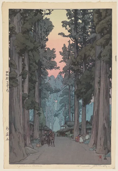 Photograph from 1937: Crytomeria Avenue