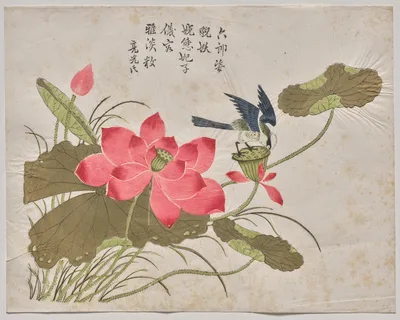 Bird on Lotus, 1700