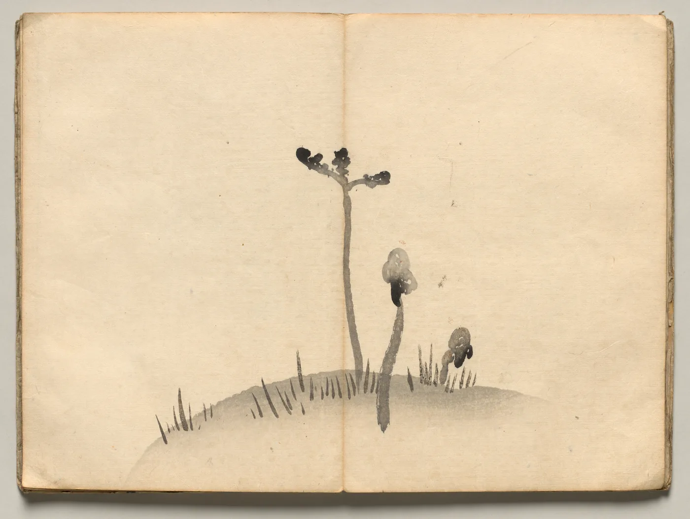 Bracken from Ōkyo Picture Book, 1850