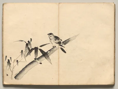 Sparrow in Bamboo from Ōkyo Picture Book, 1850