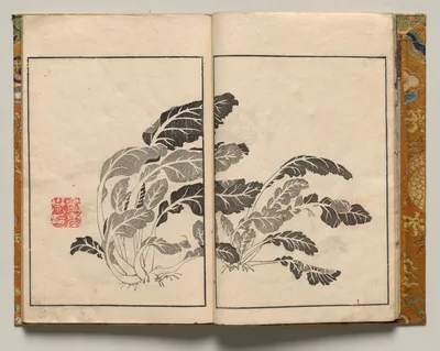 Bok Choy, Design Four from Shazanrō Picture Book, 1816