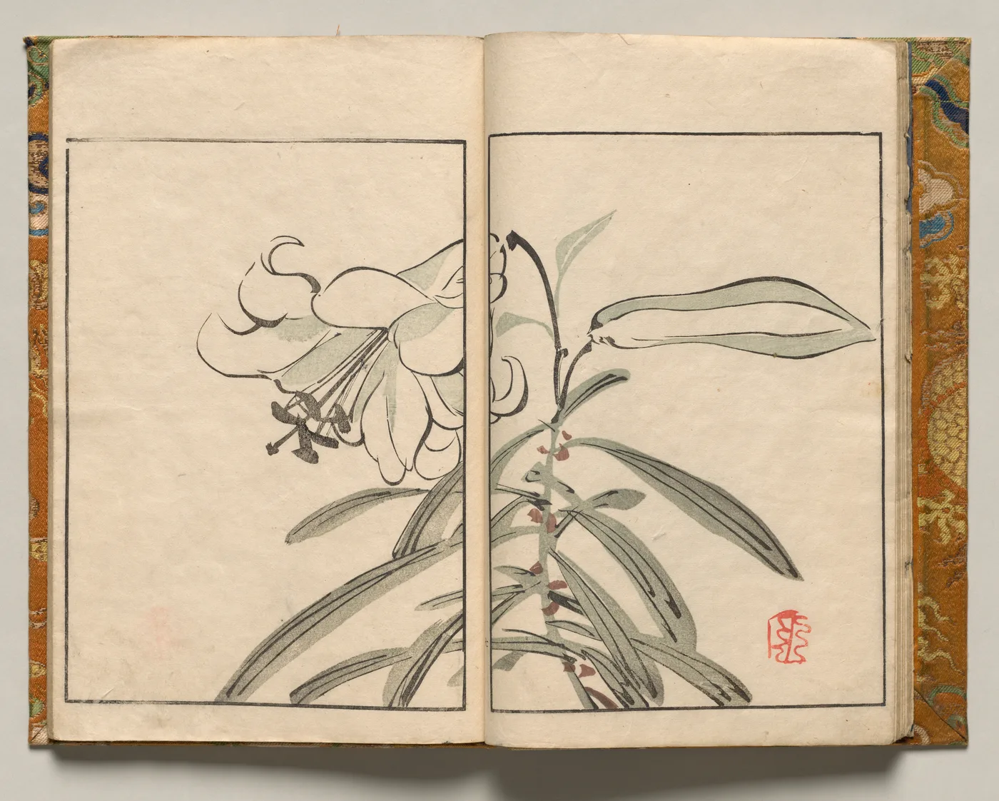Lily, Design Seven from Shazanrō Picture Book, 1816