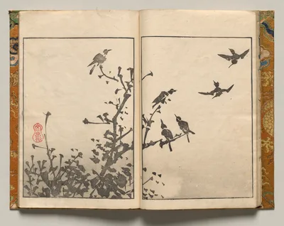 Birds in Branches, Design Nine from Shazanrō Picture Book, 1816