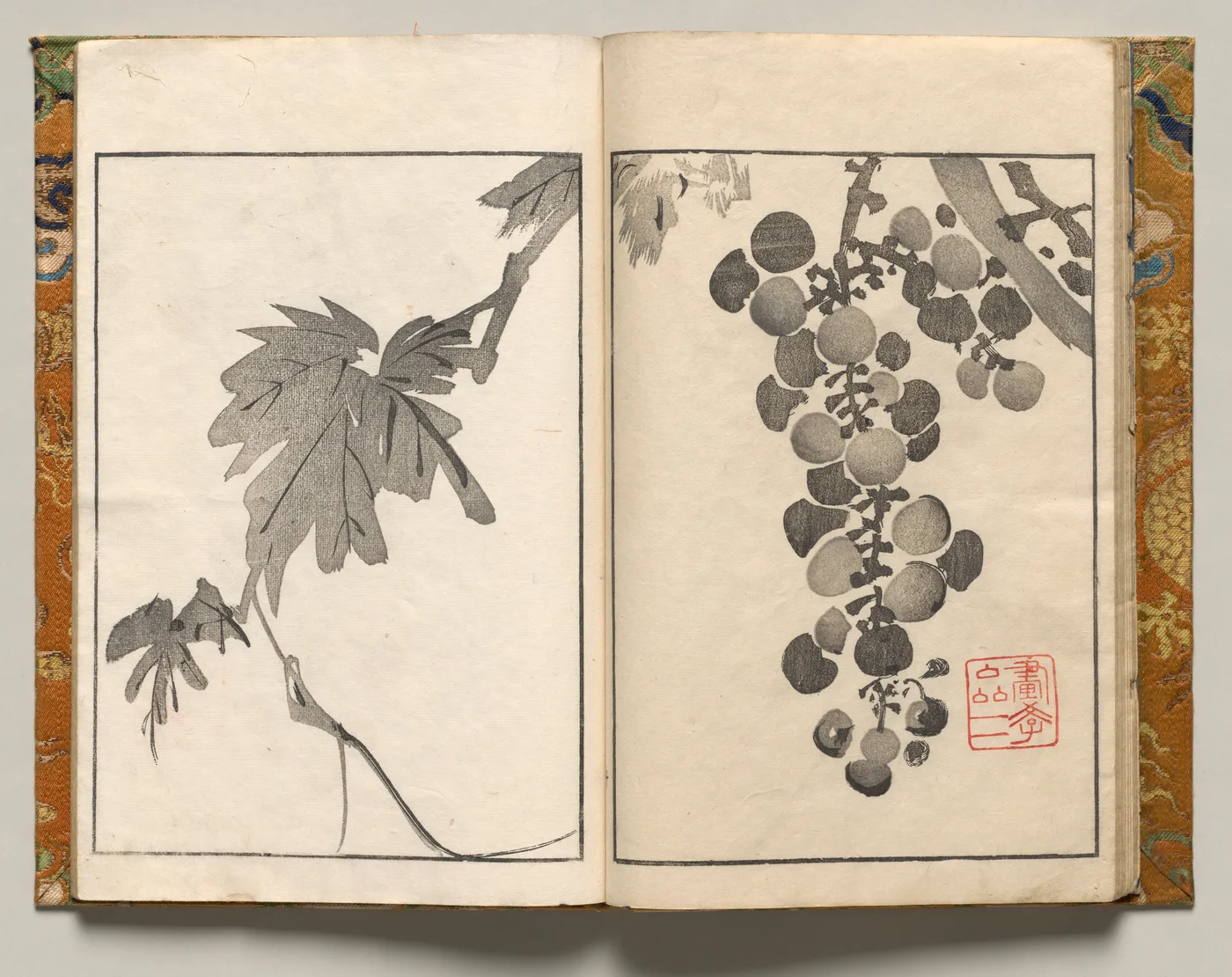 Grapevine, Design Ten from Shazanrō Picture Book, 1816
