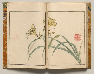 Lilies, Design Sixteen from Shazanrō Picture Book, 1816