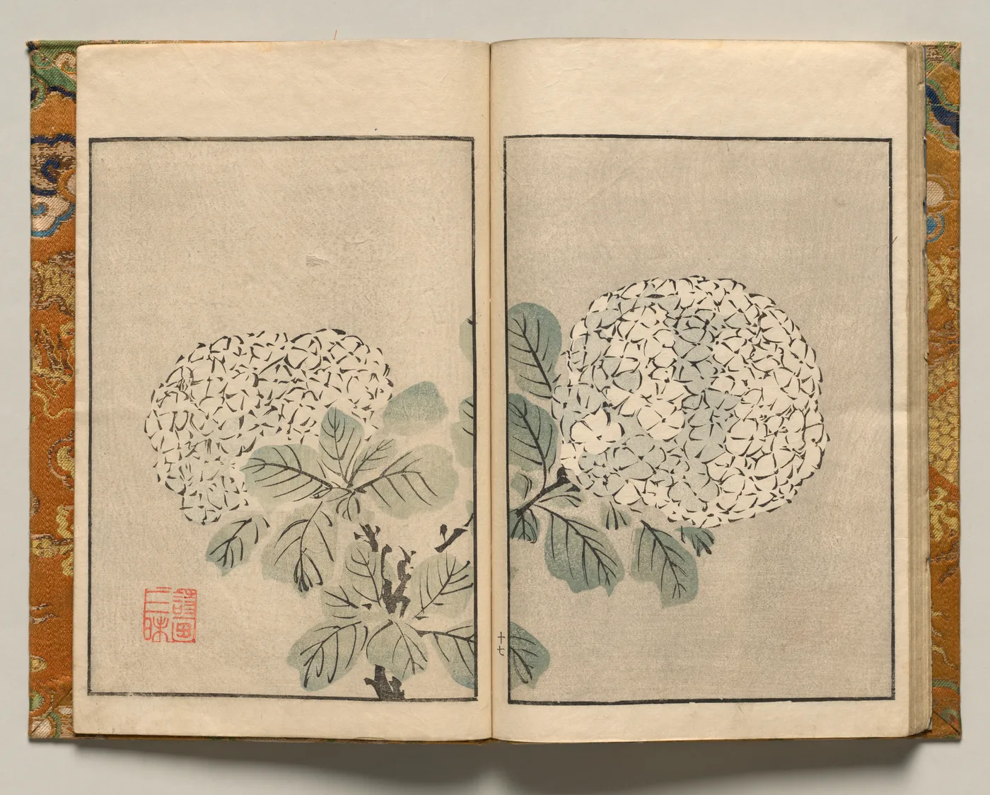 Hydrangea, Design Seventeen from Shazanrō Picture Book, 1816
